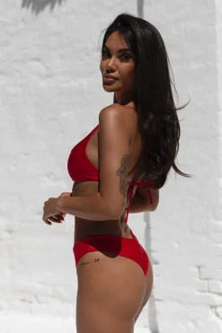 Brazilian Scarlet
